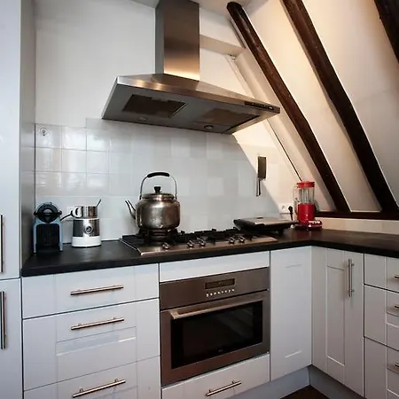 Daire Spacious City Centre Haarlem