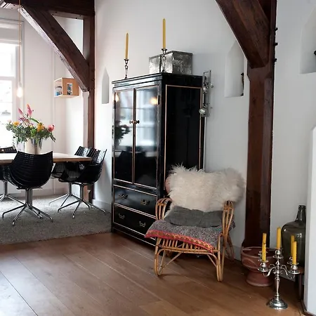 Daire Spacious City Centre Haarlem